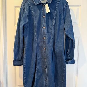 Abercrombie & Fitch Denim Shirt dress